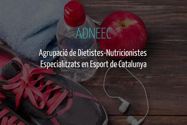 adneec.com site used Cordillera