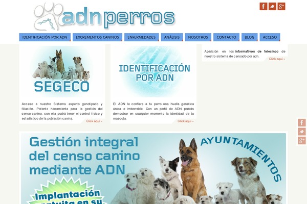 Parabola theme site design template sample