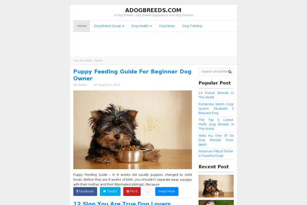 WP Newspaper theme site design template sample