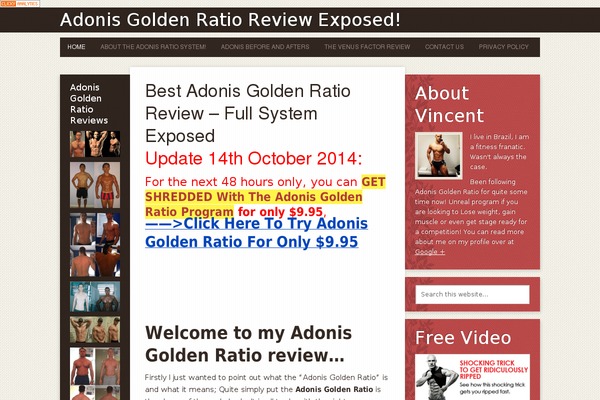 Mocha Child Theme theme site design template sample