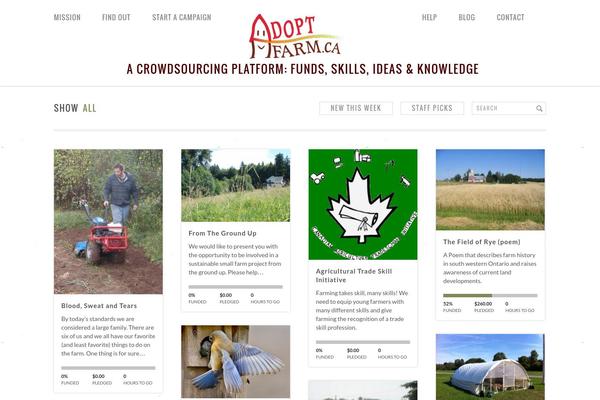 Fundify theme site design template sample