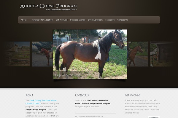 Envisioned theme site design template sample