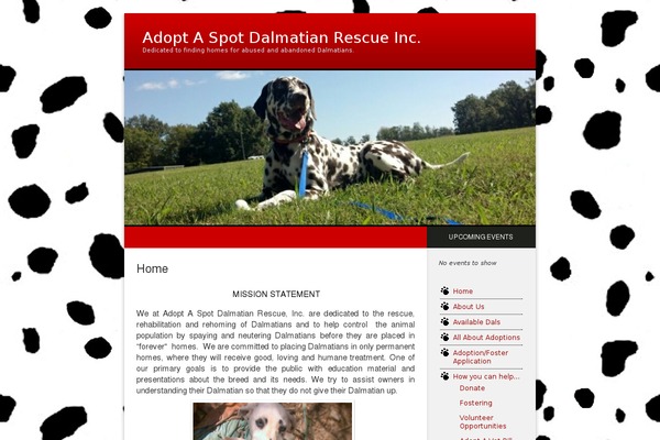 adoptaspotdalrescue.com site used Ocean-mist-child