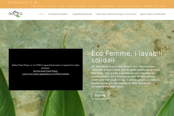 Divi theme site design template sample