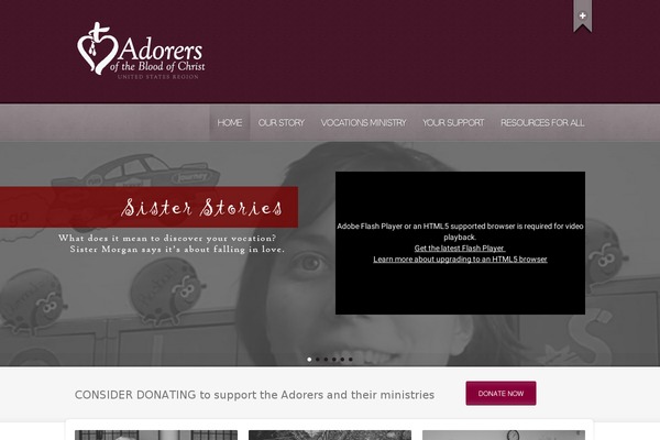 Neve theme site design template sample