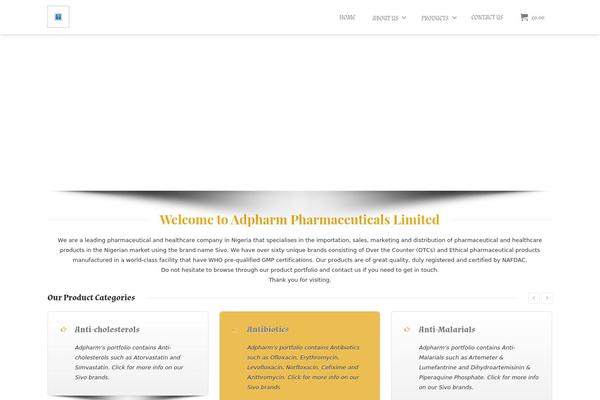 Envision theme site design template sample