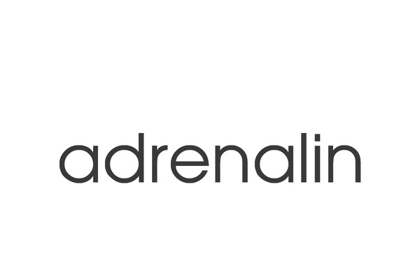 Adrenalin theme site design template sample