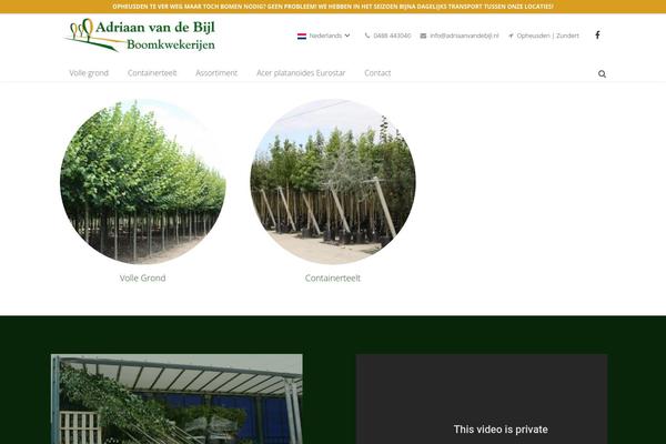 Site using Facebook Like Box plugin