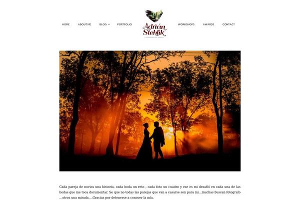 Pilot theme site design template sample