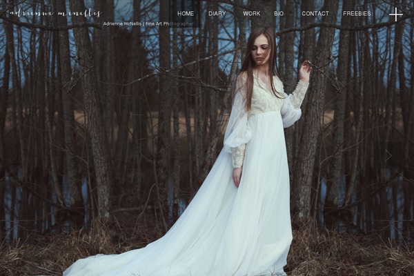 Camilla theme site design template sample
