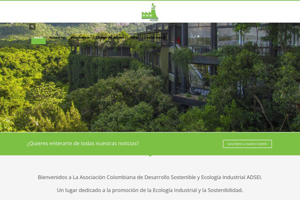 Site using MailChimp for WordPress plugin