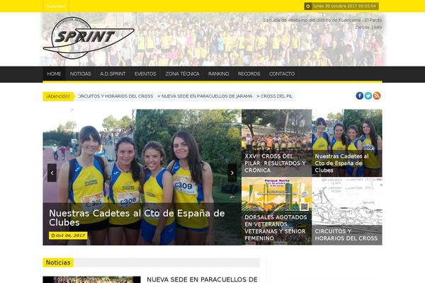 SaladMag theme site design template sample