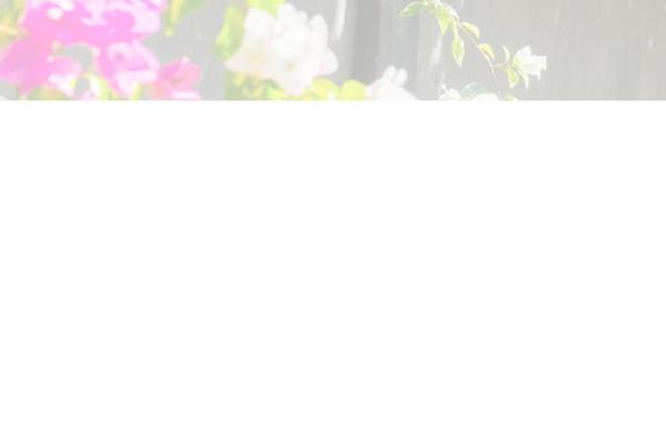 Majestic theme site design template sample