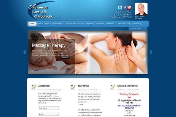 TheProfessional theme site design template sample