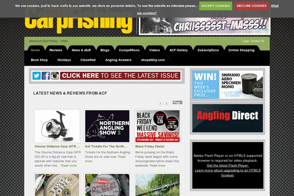 Site using Divi-100-article-card plugin