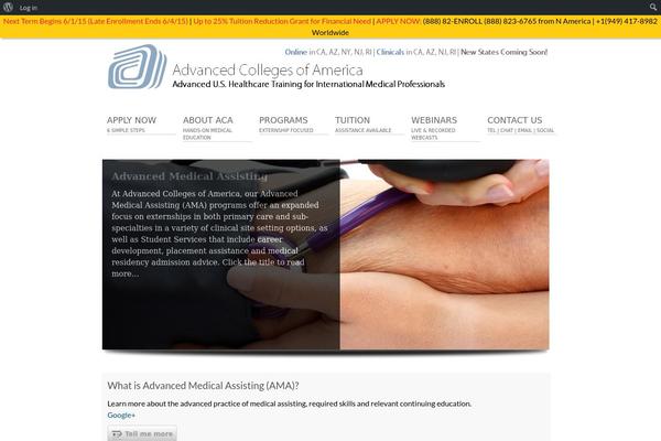 NEWERA theme site design template sample