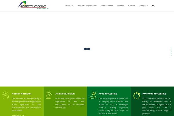 Site using Assets plugin