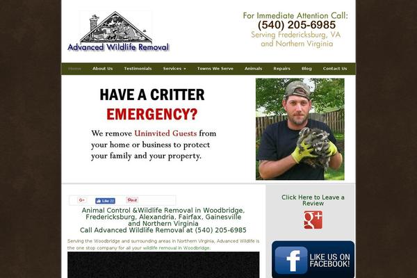 Site using Simple Social Expandable plugin