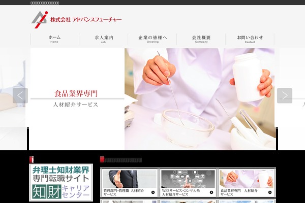 advancefuture.jp site used Advance