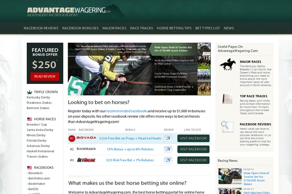 Default theme site design template sample
