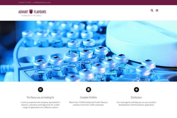 Avada Child theme site design template sample