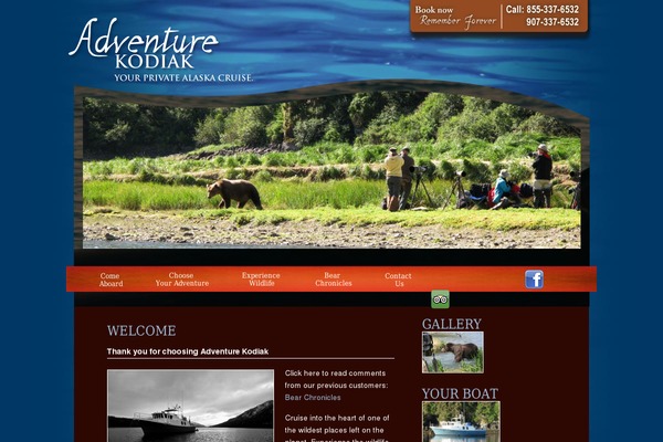 Adv theme site design template sample
