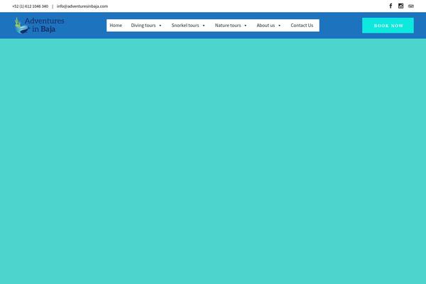 WaveRide theme site design template sample