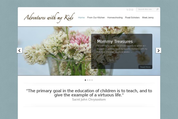 Chameleon theme site design template sample