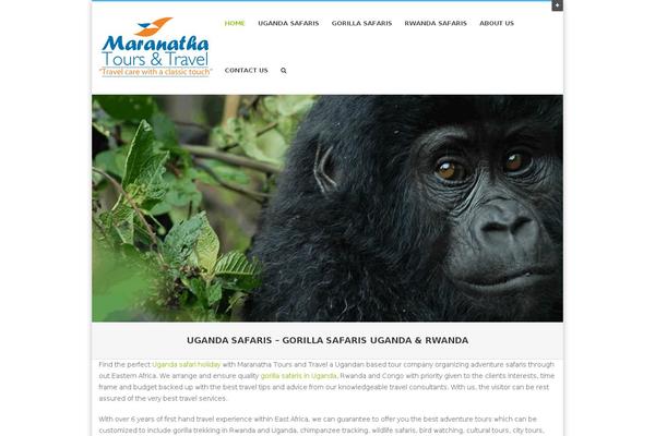 Site using Sharethis-share-buttons plugin