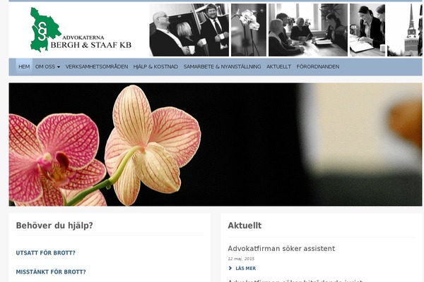 Abs theme site design template sample