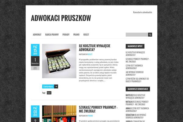 FlyMag theme site design template sample