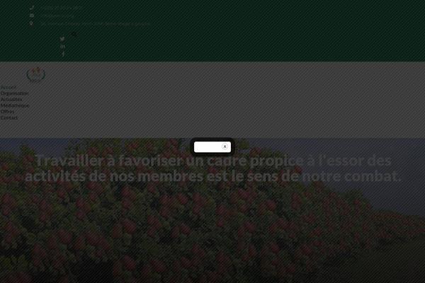 Site using Organization-chart plugin
