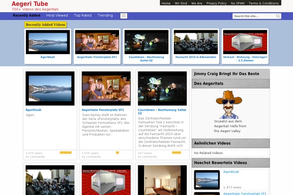 Covertvideopress theme site design template sample