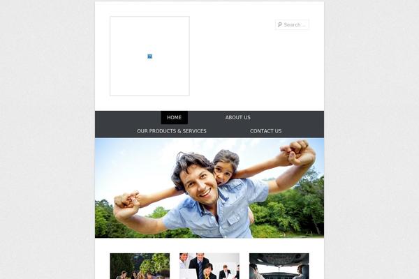 Catch Everest theme site design template sample