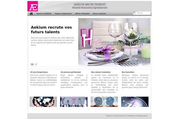 application theme site design template sample