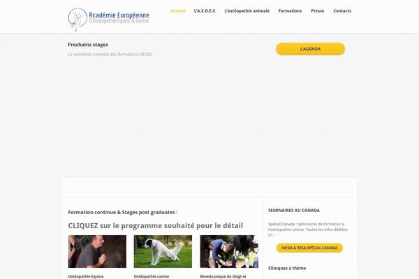 aeoec.com site used Academie