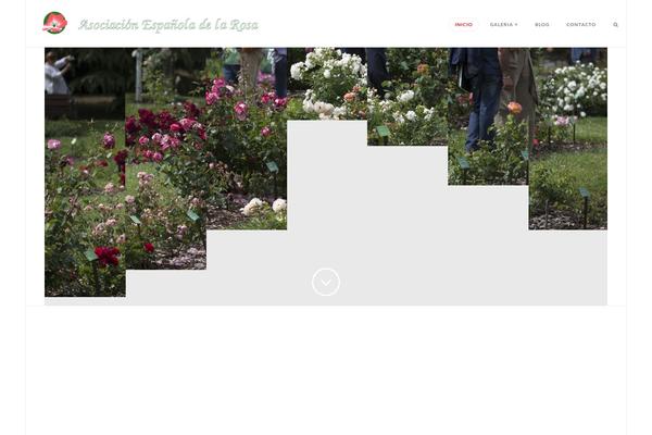 Site using Simple Lightbox plugin