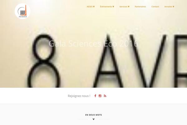 Sensible_pro theme site design template sample