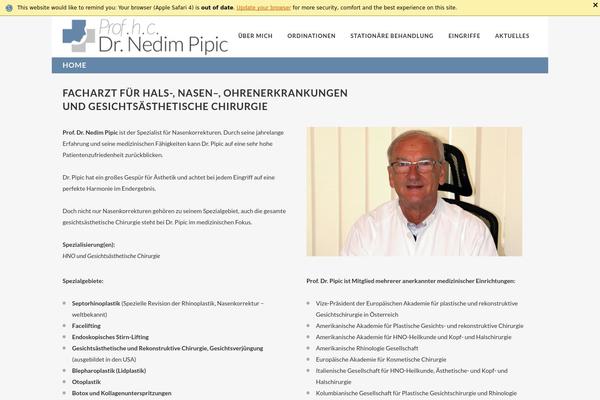 foxy-281-v01 theme websites examples