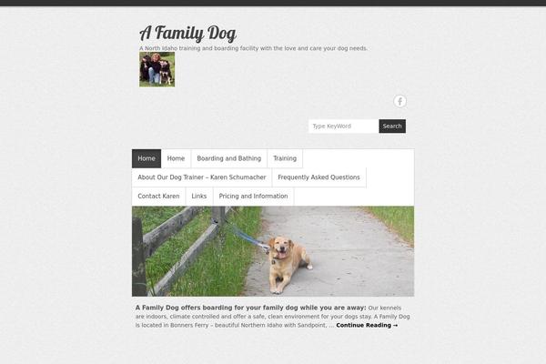 Simple Catch Pro theme site design template sample