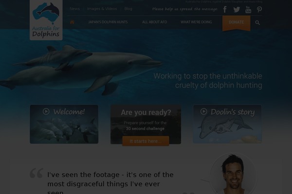 Afd theme site design template sample