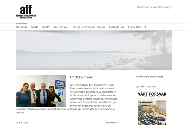 Site using Language Bar Flags plugin