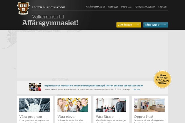 Tbs theme site design template sample