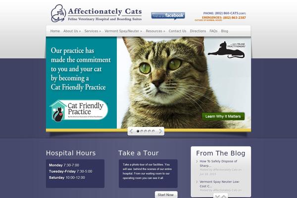 Deepfocus theme site design template sample