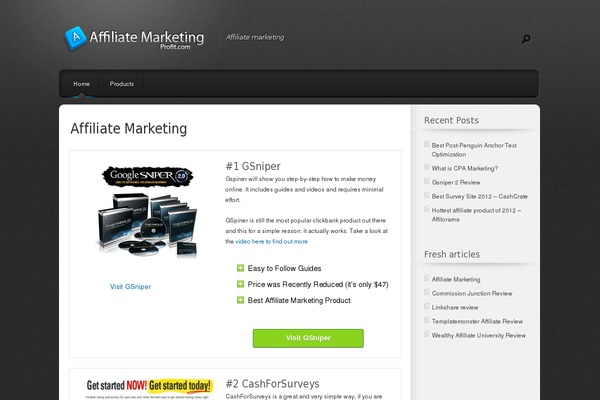 Polished theme site design template sample