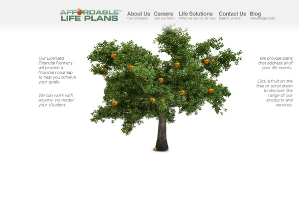 affordablelifeplans.com site used Thelatest