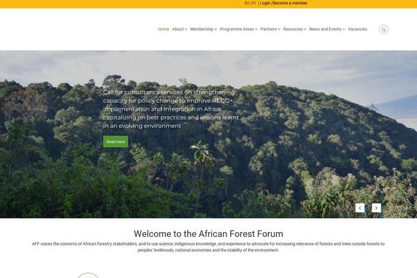 Flash theme site design template sample