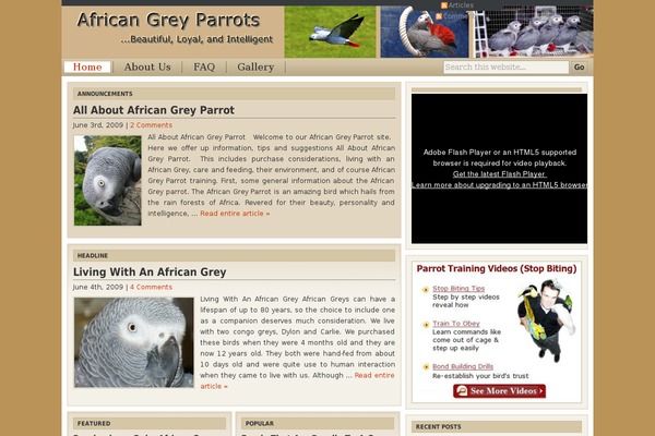 Cover WP theme site design template sample