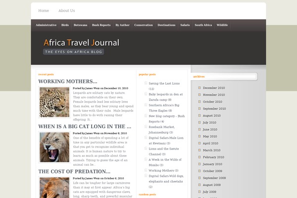 Interphase theme site design template sample