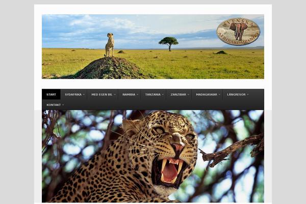 Site using Wp-posts-pro plugin